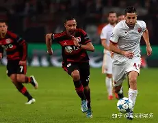 印第安纳伯明顿大学